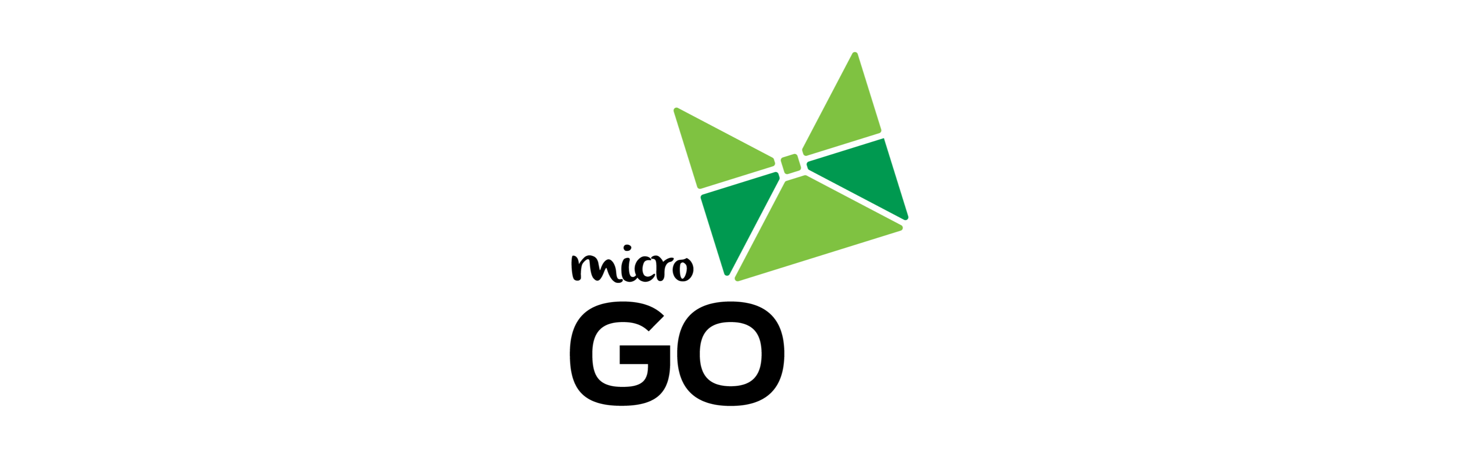 Micro Go