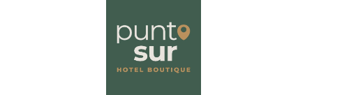 Punto Sur