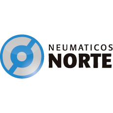 Neumaticos Norte S. A