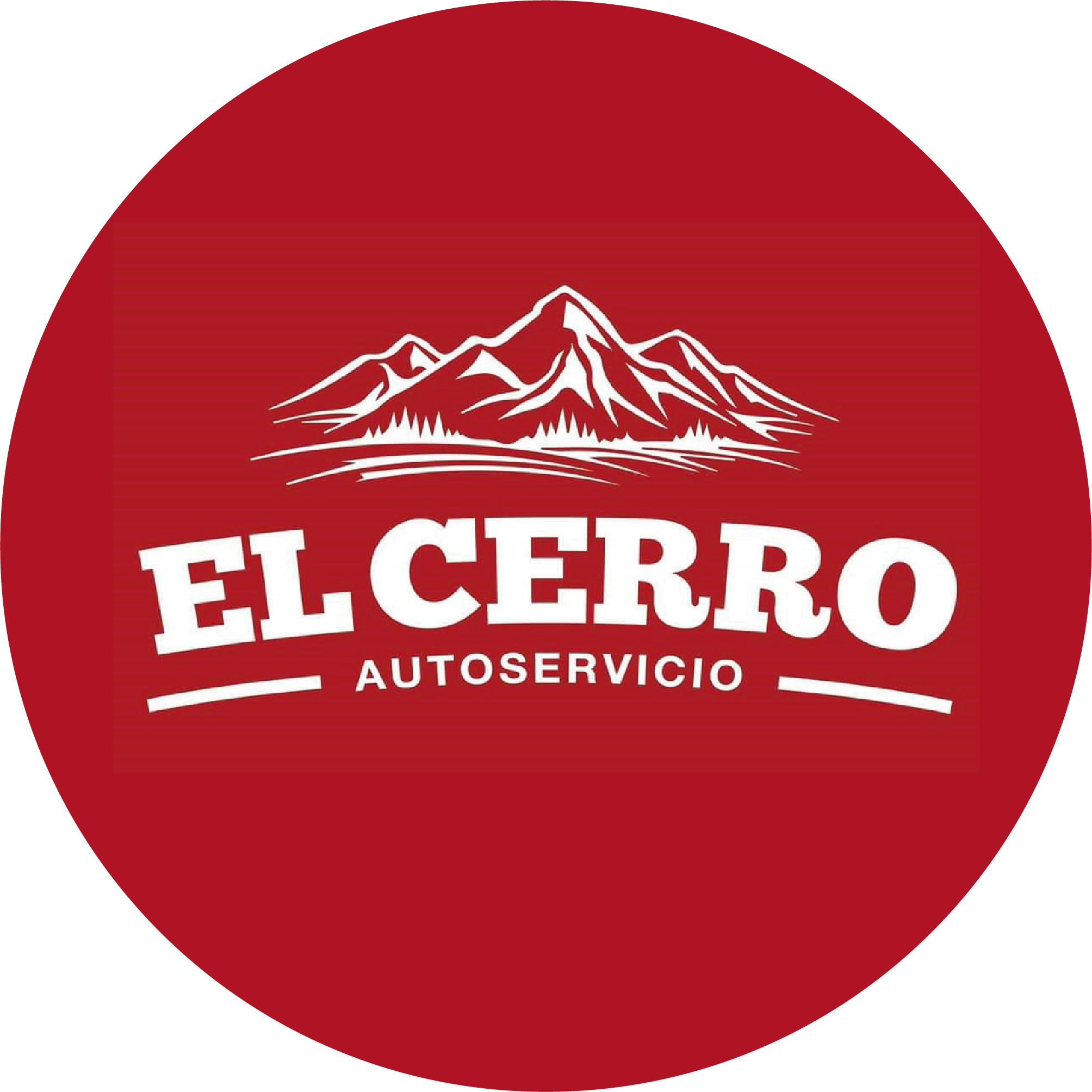 El Cerro Srl