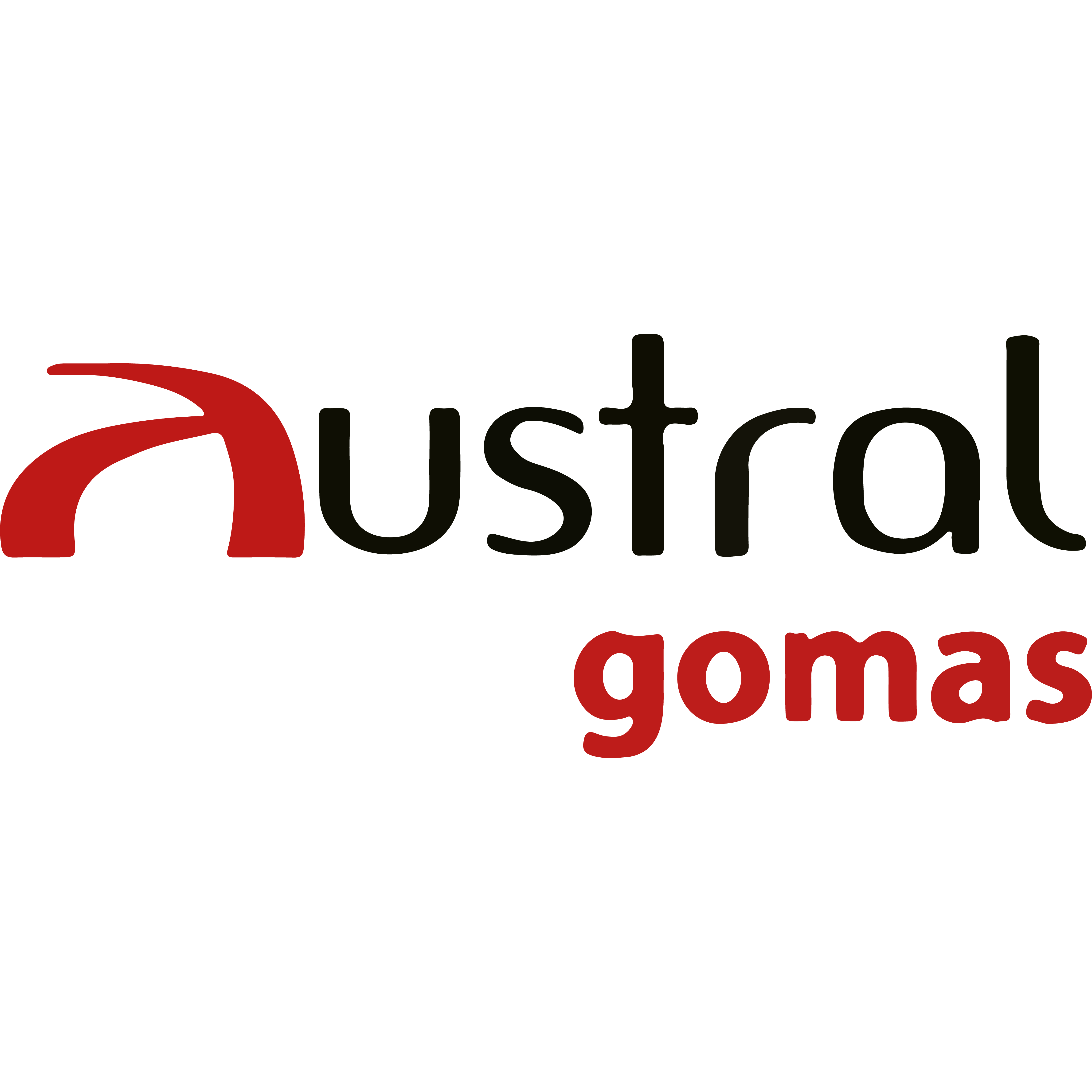 Austral Gomas Srl