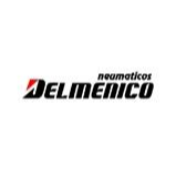 Neumaticos Delmenico