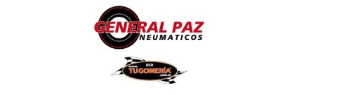 Neumaticos General Paz S. A.